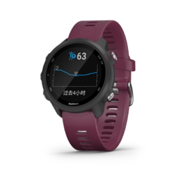 GARMIN 佳明 Forerunner245高阶跑步心率 运动智能手表