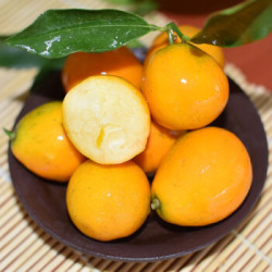 脆皮金桔 小橘子 新鲜京东生鲜 2斤装