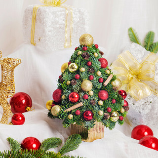 LACHANSON 新鲜圣诞树 圣诞套装 家居圣诞装饰套装礼盒送女生