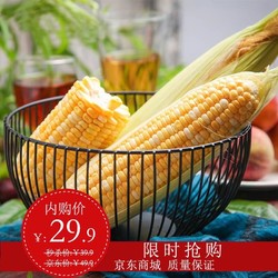 GD CO-CP 粤供优品 水果玉米 10斤装