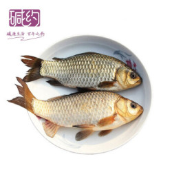 生鲜鱼类 微山湖野生 去鳃去鳞去内脏(三去)现杀 鲫鱼500g (5条左右)