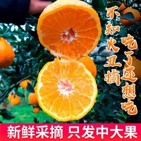 不知火丑橘丑桔丑八怪四川新鲜当季柑橘水果桔子橘子2/5/9斤批发