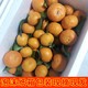  广西砂糖橘新鲜当季水果蜜桔橘子现摘现发整箱净重5斤酸甜薄皮桔　