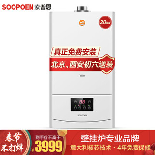 SOOPOEN/索普恩 天然气热水器 L1PB20-SF