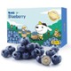 Joy x Doga京东定制智利进口蓝莓原箱12盒装 约125g/盒 新鲜水果 年货礼盒 *3件