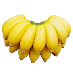 广西小米蕉 新鲜香蕉  带箱10斤