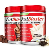 FatBlaster 瘦身减肥代餐奶昔 430g*2瓶（巧克力味+香草味）