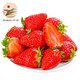  红颜草莓 巧克力奶油草莓 5斤精品果　