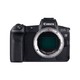 佳能Canon EOS R全画幅专业微单数码相机 3030万有效像素 4K视频 vlog EOS R 单机身日版