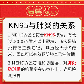 MeHow 防病菌kn95防护口罩 可水洗 含5片可替换滤芯