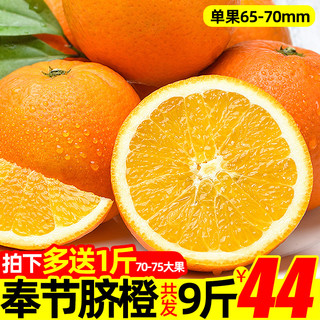 淘乡甜 重庆奉节脐橙 单果65mm-70mm 9斤