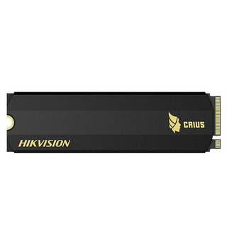 HIKVISION 海康威视 C2000 PRO 紫光版 M.2 NVMe 固态硬盘 512GB + GUCCI 古驰 金管唇膏 3.5g #25