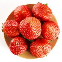 丹东99红颜草莓奶油草莓新鲜现摘香莓3斤顺丰空运 *2件