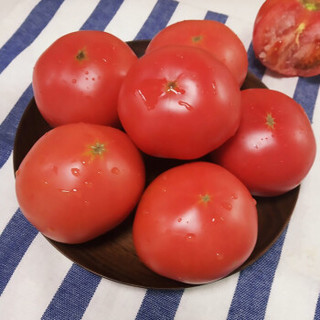 依禾农庄 沙瓤西红柿 500g