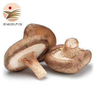 静益乐源 西峡湿香菇 400g