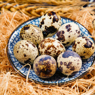 黄河畔 新鲜鹌鹑蛋 30枚
