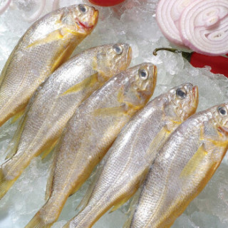 御品集美鲜活冻渤海湾小黄花鱼500g约11条