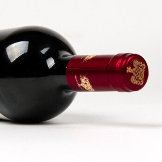 玛琪古 智利原装进口 西拉红葡萄酒 特别陈酿珍藏750ml*2瓶