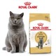 ROYAL CANIN 皇家 BS34 英国短毛猫成猫粮 10kg