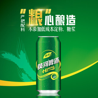 HuangHe 黄河啤酒 黄河劲浪啤酒 500ml