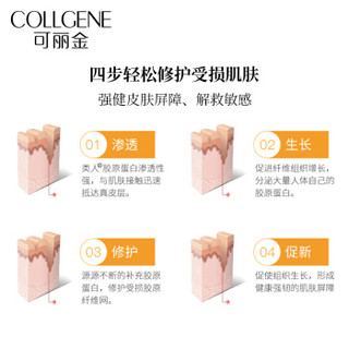 可丽金（COLLGENE）类人胶原蛋白补水保湿滋润舒缓套装 安护面霜40g+健肤乳液50ml+可丽金 健肤旅行小样*2