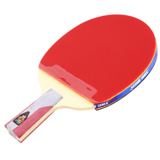 红双喜(DHS)五星级乒乓球拍专业全能型 直拍升级版T5006 (附拍包乒乓球）