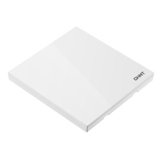 正泰（CHNT）NEW6-T95100 白色联体插座 开关面板 家用暗装空白面板开关（5只装）