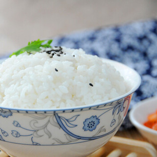 君稻 甄选东北大米 10kg 珍珠米 圆粒米 粳米 大米