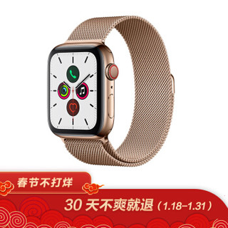 Apple Watch Series 5智能手表（GPS+蜂窝网络款 44毫米金色不锈钢表壳 金色米兰尼斯表带 MWWJ2CH/A)