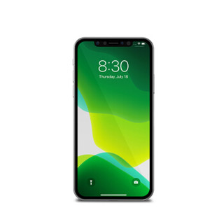 摩仕 moshi iPhone 11pro/X/XS钢化玻璃5.8英寸全覆盖膜IonGlass