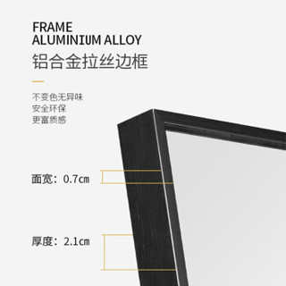 岱岳 穿衣镜 家用落地 镜子落地镜家用全身镜支架黑色40*150CM