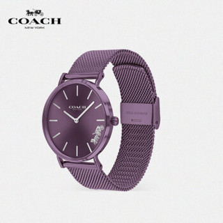 COACH 蔻驰 PERRY系列 14503484 女士石英手表