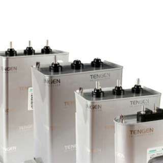 天正电气（TENGEN）电容器 BSMJ0.4-20-3 /个 可定制