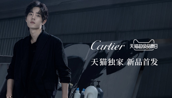 一键领取肖战,孟美岐等明星同款~cartier卡地亚 guirlande系列 链条