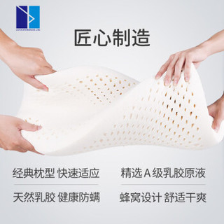Latex Systems泰国进口天然乳胶枕 颈椎枕头按摩枕芯面包型乳胶枕