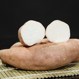 京觅 河南鹤壁白蜜薯 红薯地瓜 2.5kg 单果重约150g-400g 新鲜蔬菜