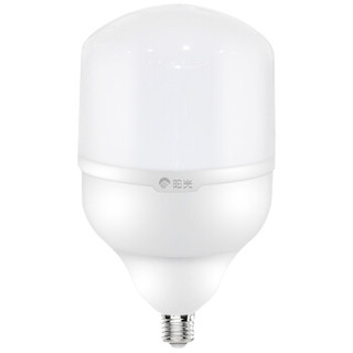 阳光照明LED灯泡高亮度大瓦数球泡灯E27大螺口节能灯泡25瓦白光6500k
