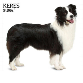 KERES 凯锐思 DHA配方粮 边牧狗粮幼犬成犬专用边境牧羊犬大型犬粮 2kg