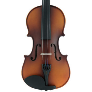 凤灵 FineLegend 白木小提琴FLV1111（哑光）1/8初学练习琴