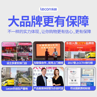 乐创（lecon）电炸炉商用单缸定时大容量油炸锅薯条油条电炸锅 8升单缸带阀门电炸炉LC-DZL08