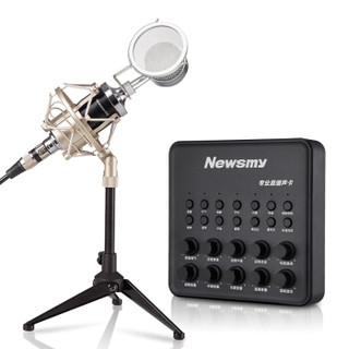 纽曼(Newsmy )S2 声卡套装手机麦克风专用直播设备全套变声器电脑主播直播K歌（赠落地支架） /曜石黑