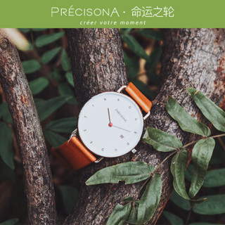 PRECISONA/佩西纳 命运之轮 简约设计绅士指针手表41MM欧美石英男表 尾叶冬青 PA4109
