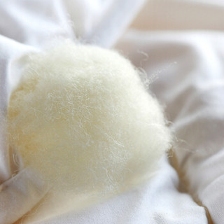 京东京造 100%澳洲羊毛被 保暖加厚舒适透气纯棉外套被芯 220cm×240cm