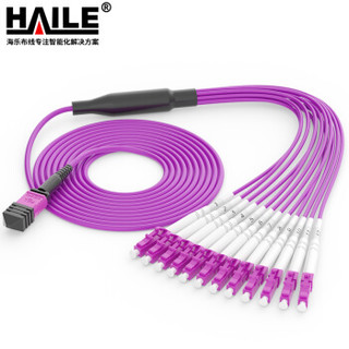 海乐（Haile）多模万兆OM4光纤跳线 40G/100G模块用MPO光纤线 12芯MPO-LC 15米 MPO-MTA12-LC-15M