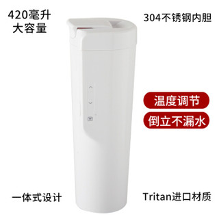 甬航 车载电热水杯12V/220V车家两用加热烧水杯烧水壶热水器数显温度调节420毫升黑色