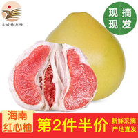 红心蜜柚 精选中果1个装2.2-2.8斤 柚子水果新鲜水果