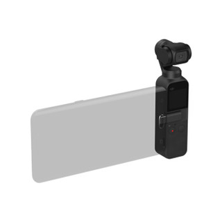 DJI 大疆 口袋灵眸 Osmo Pocket 口袋云台相机 迷你手持云台相机&三星内存卡256GB