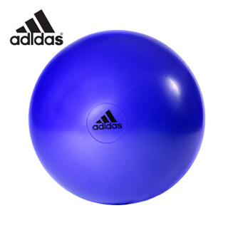 阿迪达斯adidas瑜伽球 55cm加厚防爆健身球（含充气筒）弹力球 蓝色