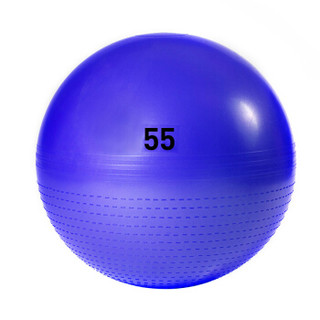 阿迪达斯adidas瑜伽球 55cm加厚防爆健身球（含充气筒）弹力球 蓝色