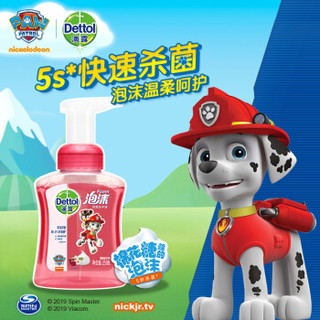 滴露（Dettol）抑菌泡沫洗手液汪汪队樱桃芬芳250ml*2